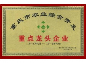 農業(yè)綜合開(kāi)發(fā)重點(diǎn)龍頭企業(yè)